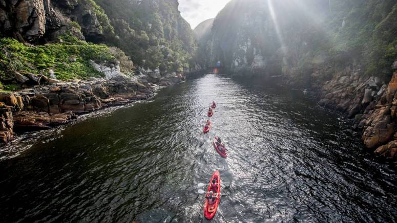 Nature trails and greenery near Storms River
