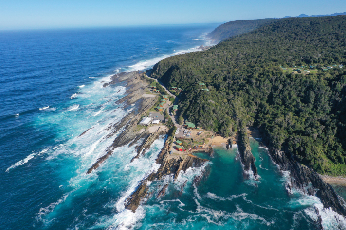 Storms River Forest Lodge surrounded by indigenous forest