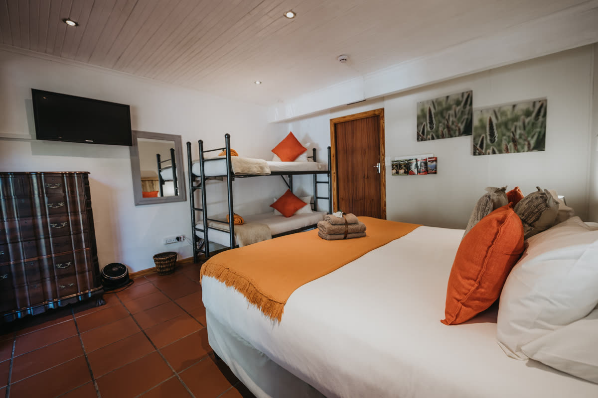 Natural beauty around Storms River Forest Lodge