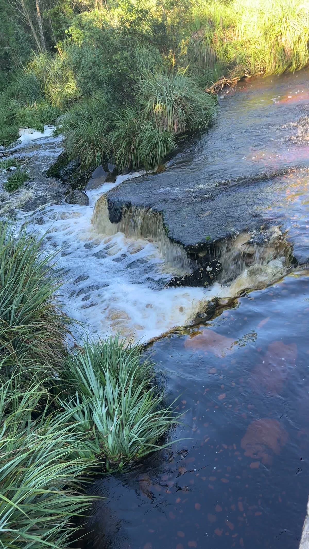 Close-up of a waterfall over rock shelf in the Tsitsikamma river